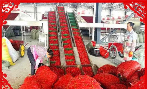 農村創業新機遇 干好這幾個農副產品加工項目，不愁沒錢賺