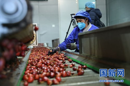 怒江峽谷 農副產品加工交易中心助力脫貧攻堅