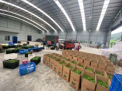 孫傳榮 走出產業融合發展之路，農副產品的創新與突破