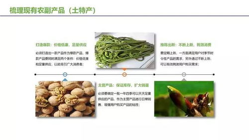 宜君園區(qū)經(jīng)驗(yàn)分享 農(nóng)副產(chǎn)品及土特產(chǎn)電商運(yùn)營(yíng)的盈利之道