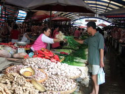 農(nóng)副產(chǎn)品漲價(jià)潮下的市民心態(tài) 理性應(yīng)對(duì)與長(zhǎng)遠(yuǎn)思考